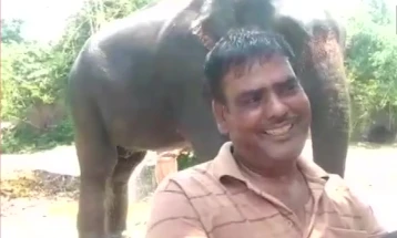 Индиец им го остави наследството на своите слонови