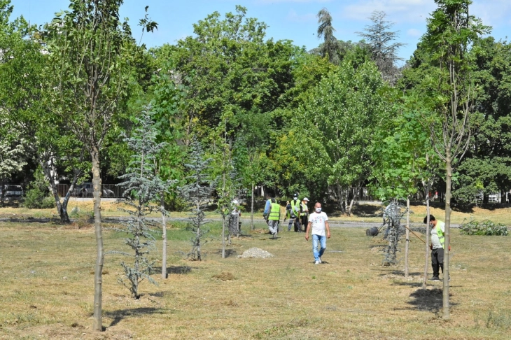 Засадени нови дрвја во рамки на спортскиот центар во Карпош 3