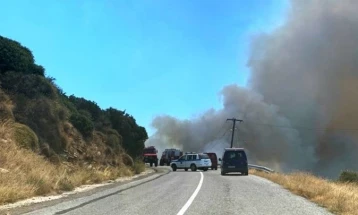 Активни два големи пожари во Грција