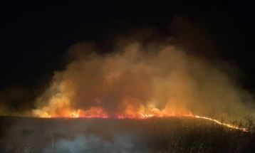 Пожарот кај Едрениково ставен под контрола