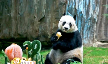 Најстарата панда во зоолошките градини го прослави 38-от роденден