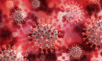 Бројот на потврдени случаи на коронавирусот во светот е близу 45 милиони
