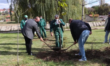 Општина Куманово објави јавен оглас за набавка на садници