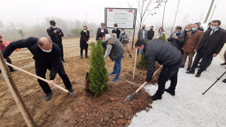 Акција „Здив за иднината - ден за пошумување“ во тетовско Желино