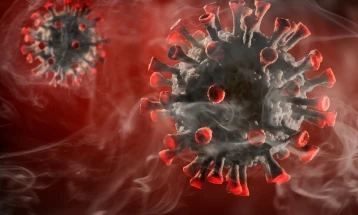 Од коронавирус во светот се заразени над 57 милиони лица
