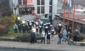 Матуранти од Македонска Каменица протестираа против полагање државна матура