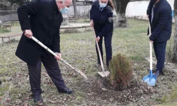 „Празниците зближуваат“ во Куманово, годинава со садење зимзелени дрвја