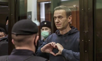 Горгадзе: Навални со своето однесување го понижува судот