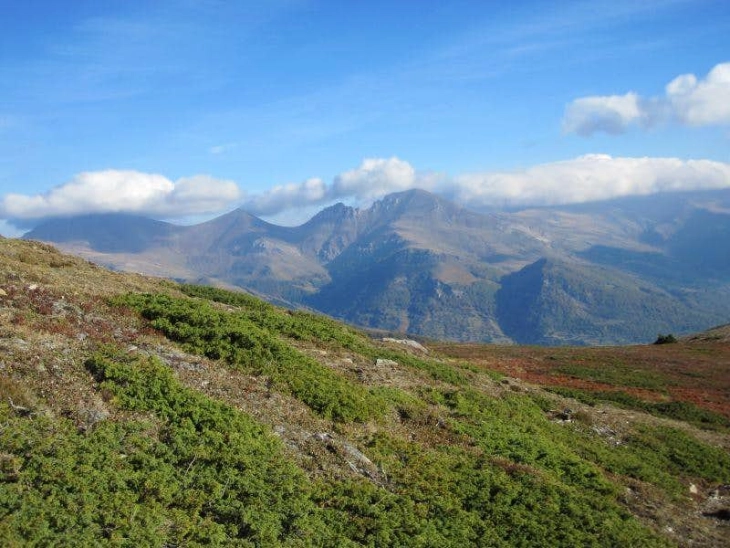 Владата го усвои Предлог-законот за прогласување на дел од Шар Планина за Национален парк