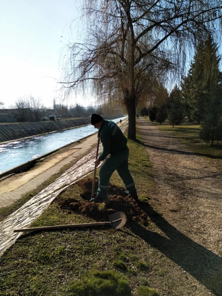 Акција за садење листопадни и зимзелени садници на градскиот кеј во Куманово