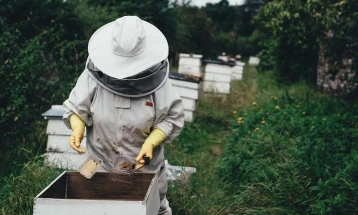 На располагање нови средства за сточарите кои набавиле пчелини матици и чистокрвни свињи во тек на минатата година