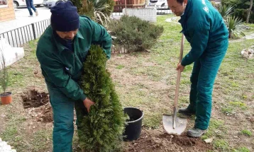 Почна пролетното озеленување на јавните површини во Кочани