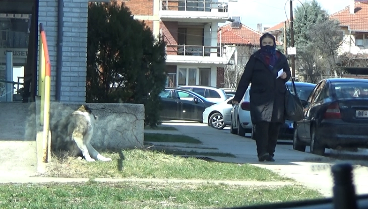 Во Пехчево од утре ќе се заловуваат кучињата скитници