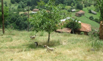 Единственото село без жители во делчевско Косово Дабје, наскоро ќе добие своја монографија