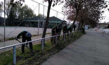 Кумановска „Чистота и Зеленило“ со акции за садење листопадни садници и грмушки