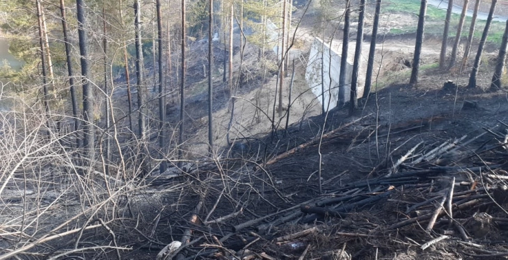 Пожар во близина на туристичкиот комплекс Аурора во Берово