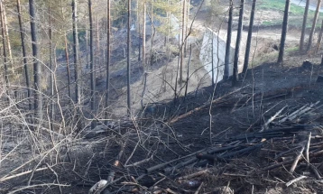 Пожар во близина на туристичкиот комплекс Аурора во Берово