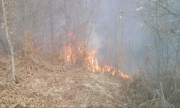 Шумски пожар кај месноста Петлец над беровско Русиново