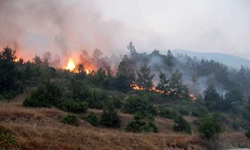 Силен ветер го оневозможува учеството на воениот хеликоптер во гаснење на пожарот кај Галичник