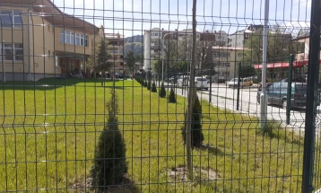 Смарагди и каталпи засадени во дворот на училиштето „К.Ј.Питу“ во Кичево
