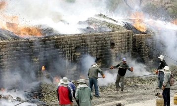 Во Боливија уништени три големи импровизирани фабрики за производство на кокаин