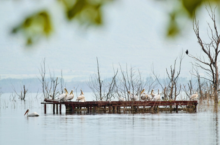 Врачување на договорот за концесија за управување со водите на Преспанското Езеро