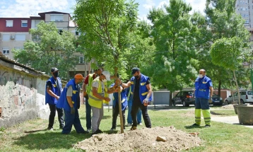 Се садат нови 50 дрвја во Општина Карпош