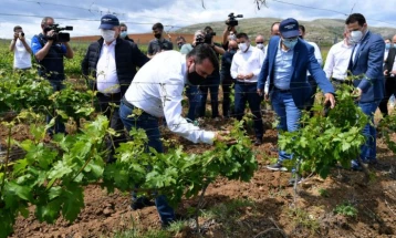 Владата е тука да помогне и годинава, рече Заев запрашан дали очекува мирен гроздобер
