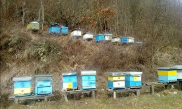 Во Кривопаланечко пријавени 259 пчелари