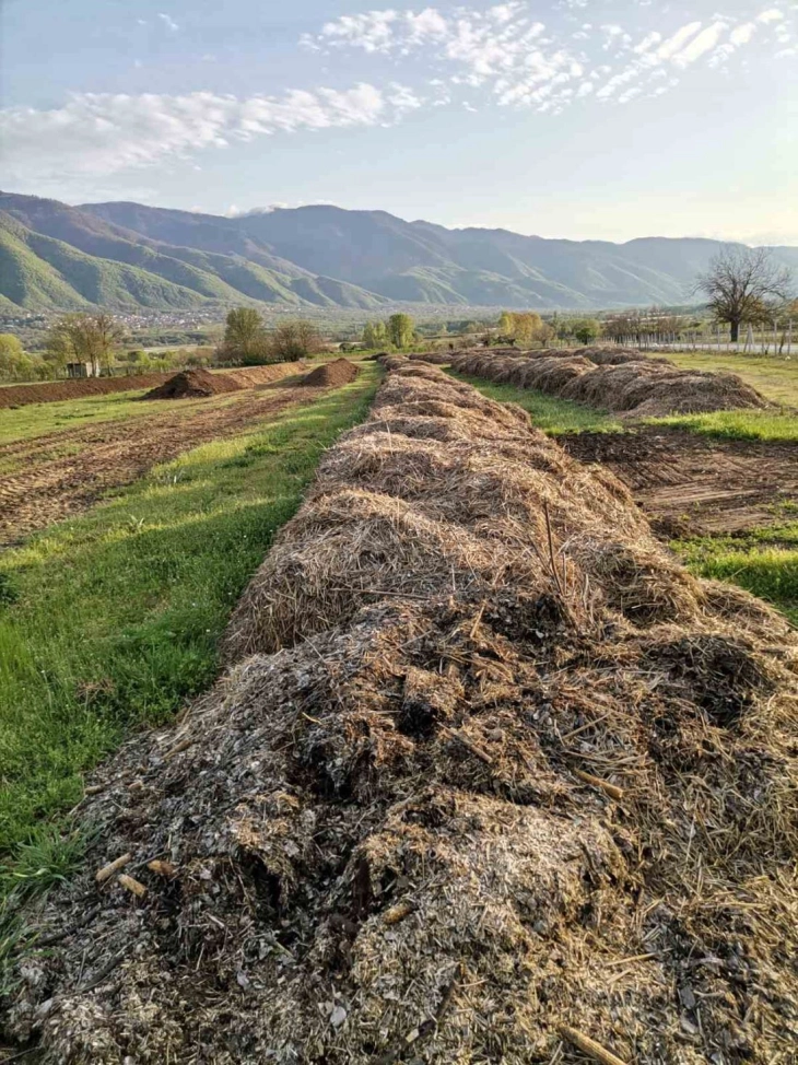 Купиштата земјоделски отпад во струмичко со компостирање можат да се претворат во „црно злато“