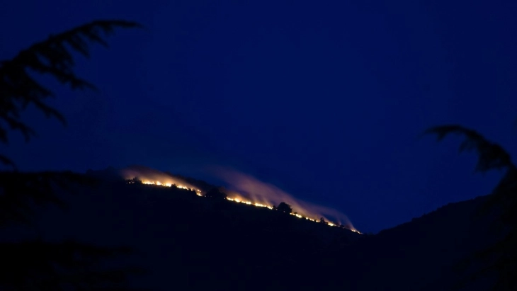 Пожар на врвот од планината Петрино североисточно од Охрид