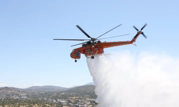 Шумски пожар на грчкиот остров Самос
