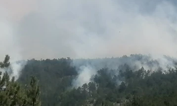 Изгаснат пожарот кај село Белица, Бродско