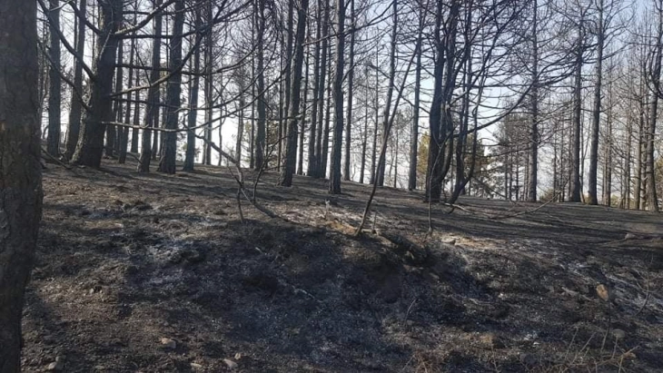 Поголем дел од пожарот во Кокино ставен под контрола, активен пожарот во Кокински дол