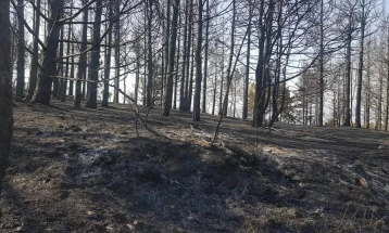Поголем дел од пожарот во Кокино ставен под контрола, активен пожарот во Кокински дол