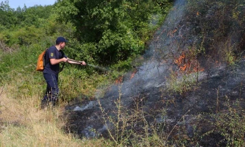 Пожар во Челопек, Старо Нагоричане, активни жаришта кај Липац, кумановско