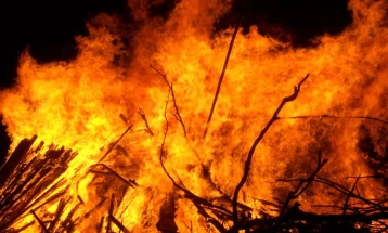 Пожар избувна во скопските села Ракотинци и Кучково