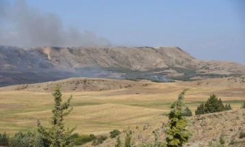 Локализиран пожарот во штипскиот регион