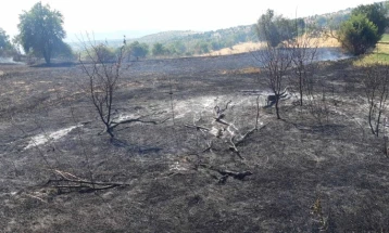 Пожарот кај Дренак, Старо Нагоричане локализиран, противпожарна екипа дежура