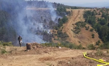 Во Беровско сè уште активен пожарот кај месноста Грбавец помеѓу селата Митрашинци и Будинарци