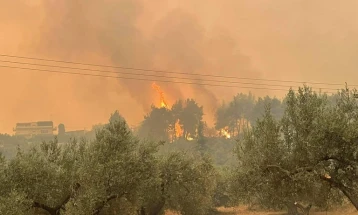 За 24 часа 106 шумски пожари во Грција