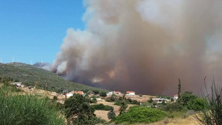 Пожар во јужниот дел на грчкиот остров Евија, превентивно евакуирано село