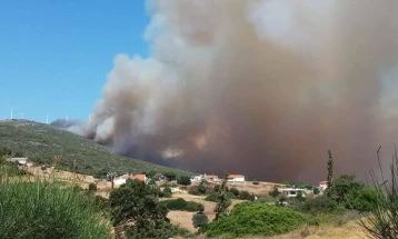 Пожар во јужниот дел на грчкиот остров Евија, превентивно евакуирано село
