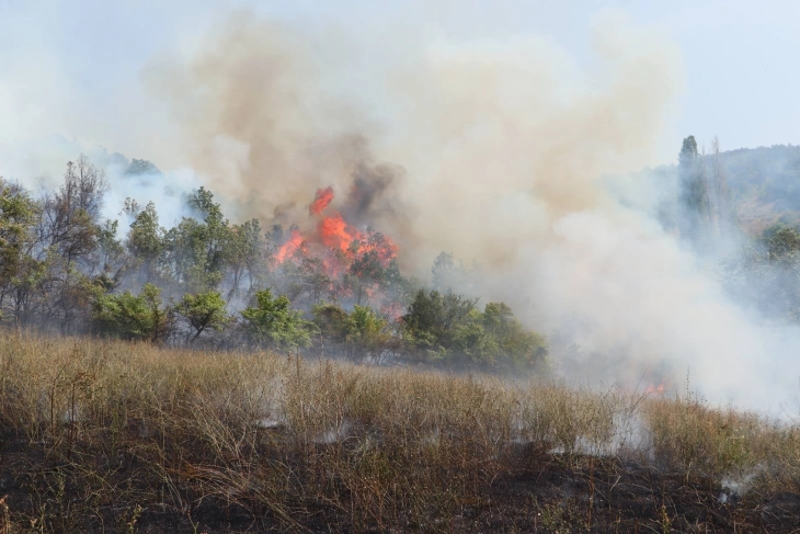 Пожар во кумановско Зубовце, го изгасиле пожарникари од Куманово и Старо Нагоричане