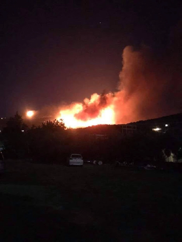 Голем шумски пожар во јужниот дел на грчкиот остров Евија