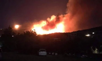 Голем шумски пожар во јужниот дел на грчкиот остров Евија