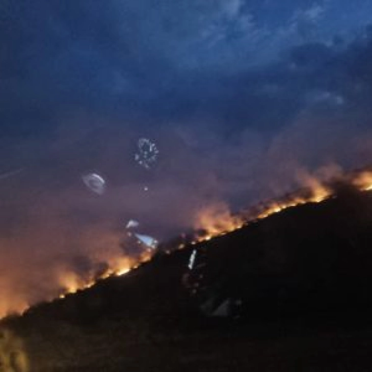 Пожарот кај Велес се уште активен, гори нискостеблеста шума, трња и габер