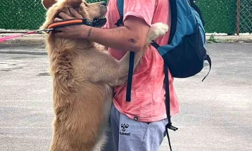 „Лајка“: Пронајдено е кучето по кое сопственикот трагаше три недели
