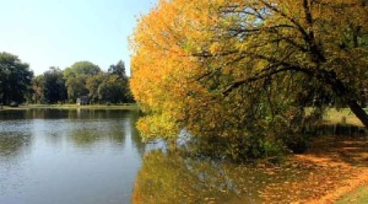 Сончево и топло со мала до умерена локална облачност