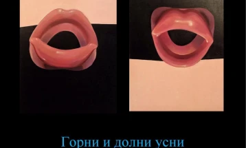 Во галерија КО-РА отворена изложбата на Валентина Илијевска „Горни и долни усни“